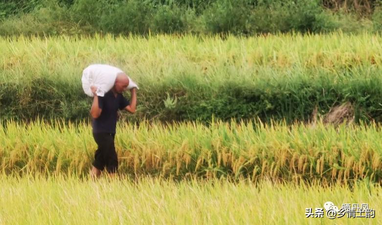 刘春荣福建,刘春荣的作品