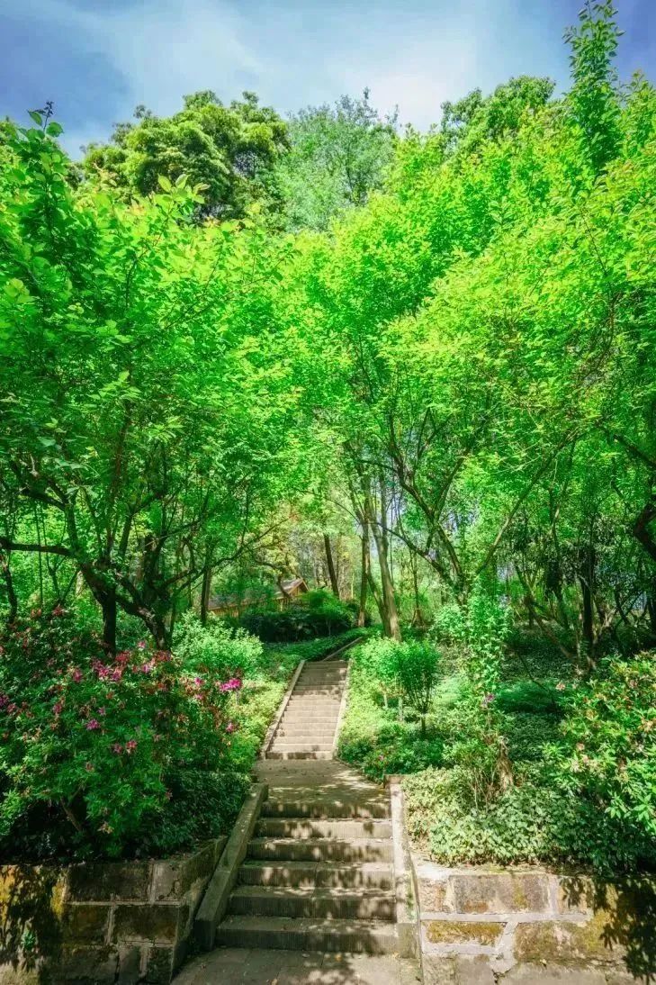 看重庆，来南岸|不看南岸这些地方，就不算到过重庆