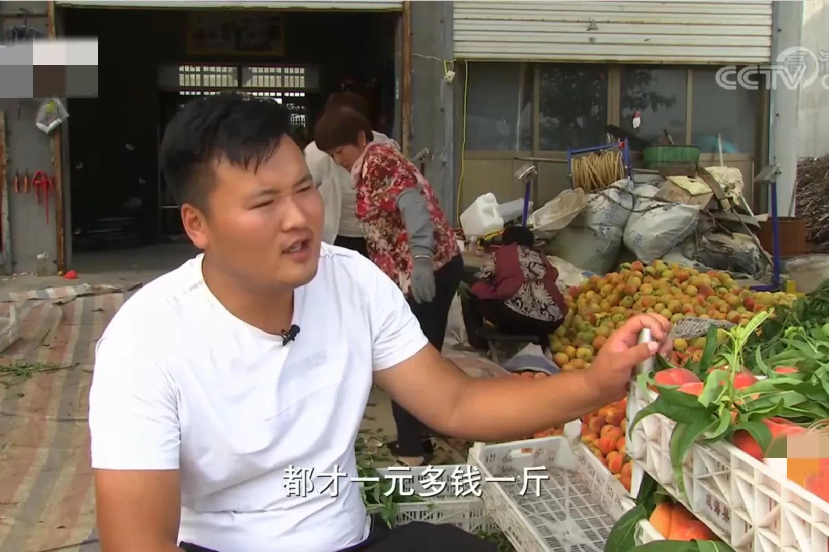 山东女孩承包5600亩地,女子承包500亩地种红薯被村民偷挖