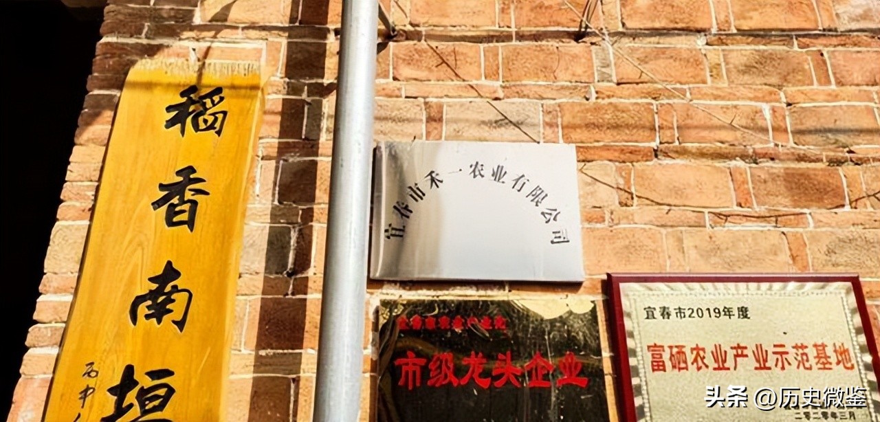 放弃年薪20万回家种地，气走父亲，几年后农产品销售额超600万