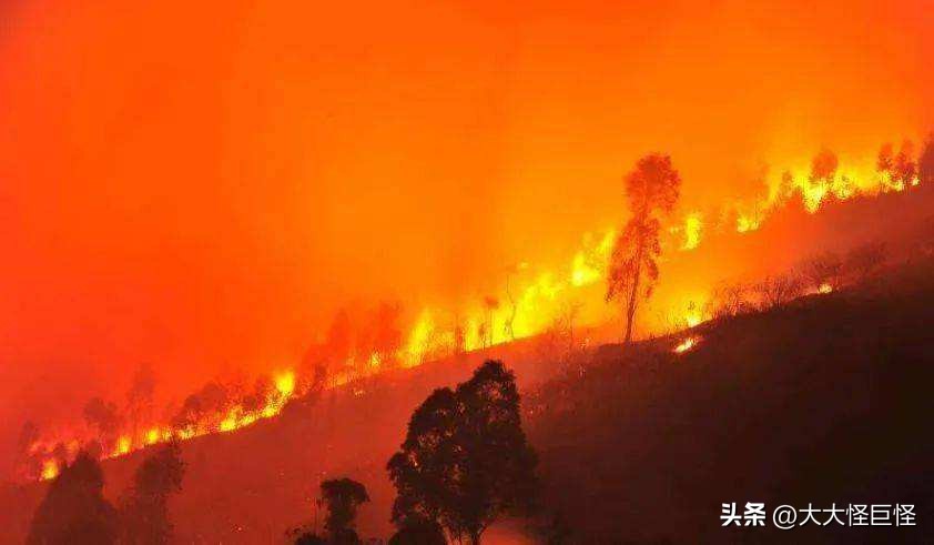 董倩26年资深央视名嘴,董倩这个主持人后来怎么样了