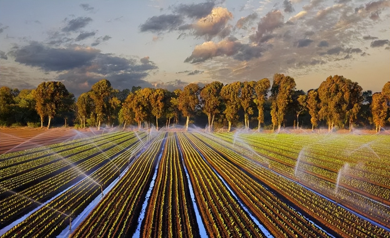 农业可持续性发展的理论与实践,农业技术创新推动农业现代化发展