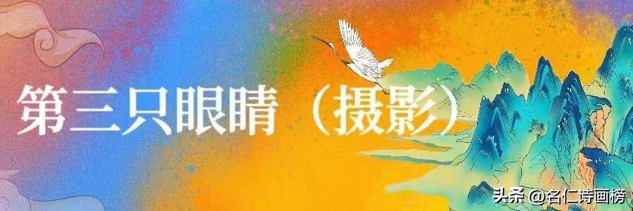 名仁诗画榜（五）致敬五月