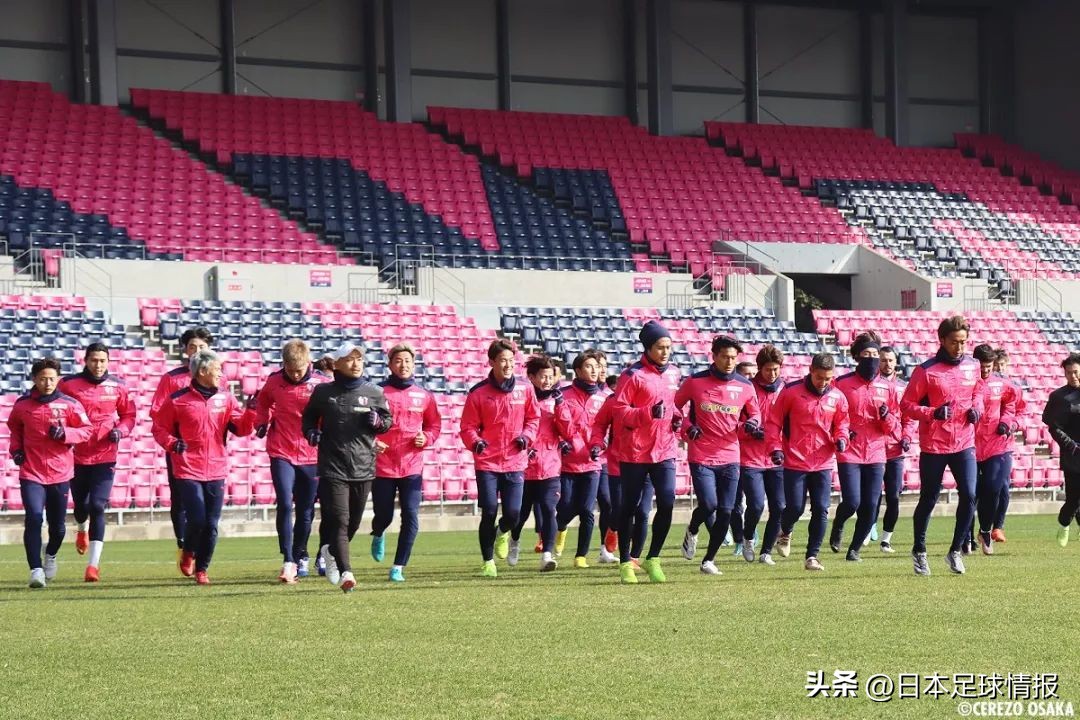 2024赛季日职联各队巡礼,今日日职联大阪樱花预测