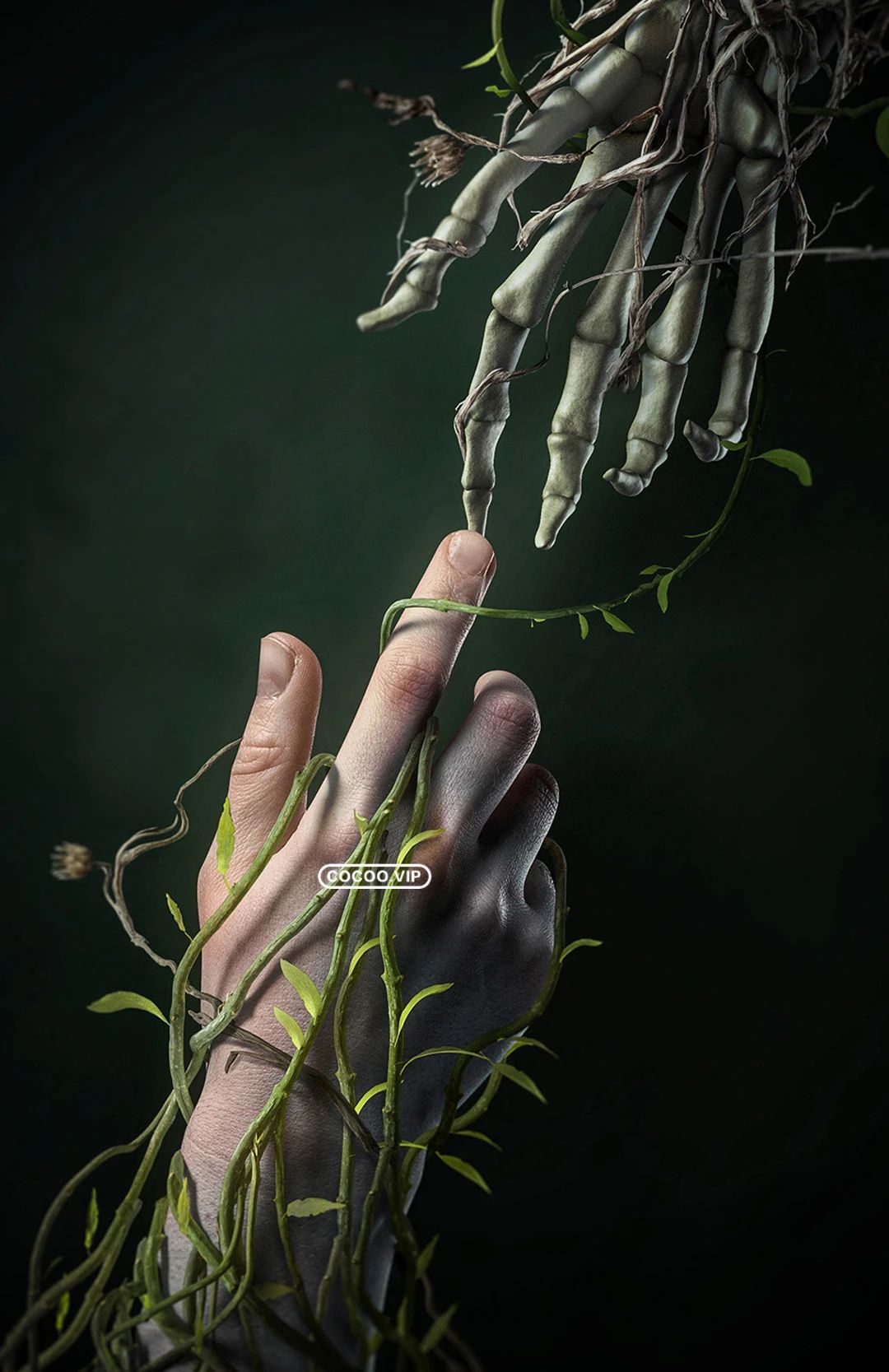 书籍封面字体高级感,书籍封面插图构图