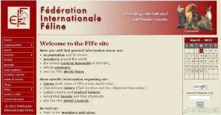 北约制裁俄罗斯的猫是什么意思,俄罗斯猫咪被制裁后的现状