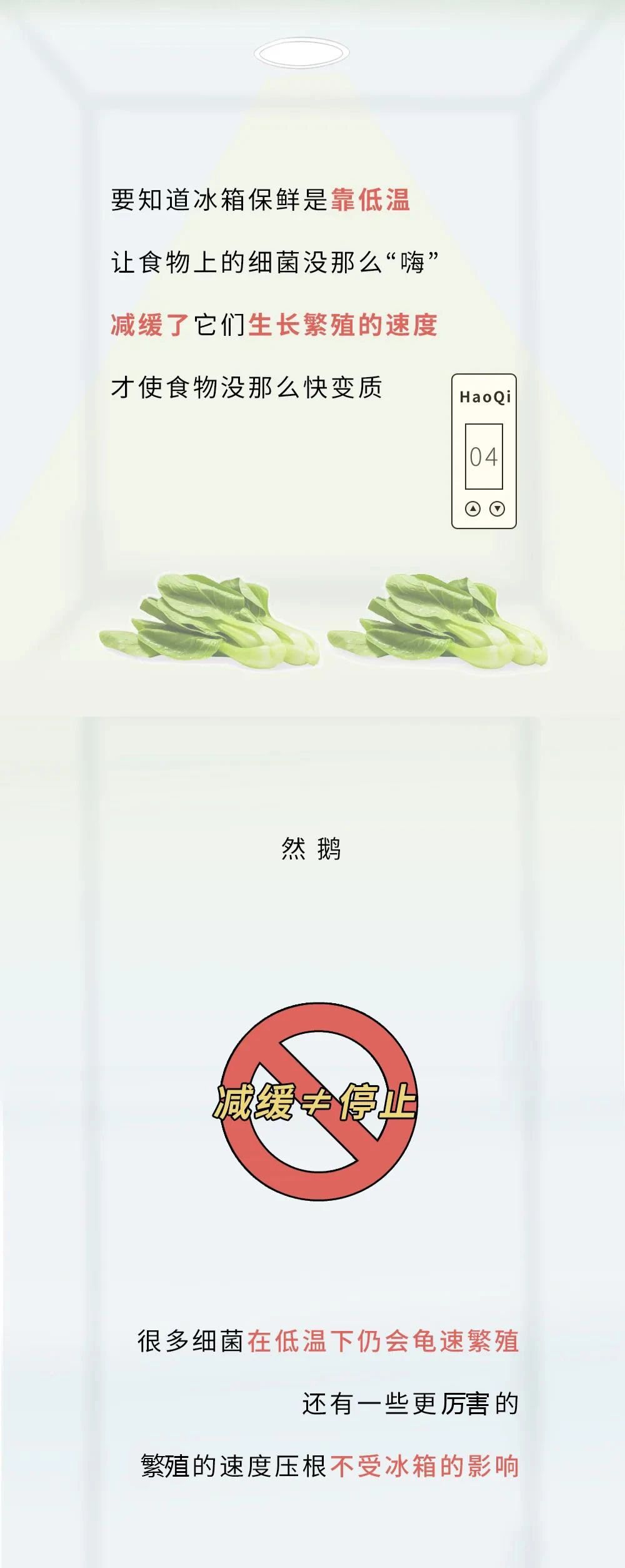 冰箱里有多脏,冰箱和马桶哪个脏