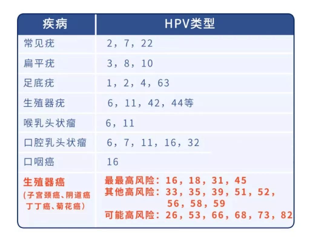 【科普】关于HPV和HPV疫苗，你想知道的，这里都有
