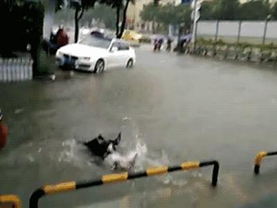 哭笑不得的报警,哭笑不得报警