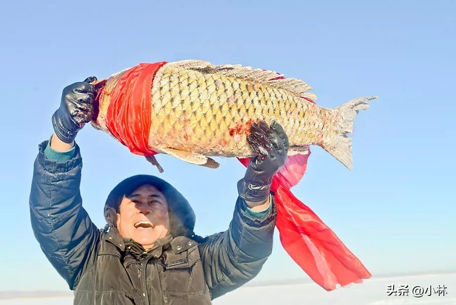 遇见生活遇见最美的你,震撼遇见最美的你