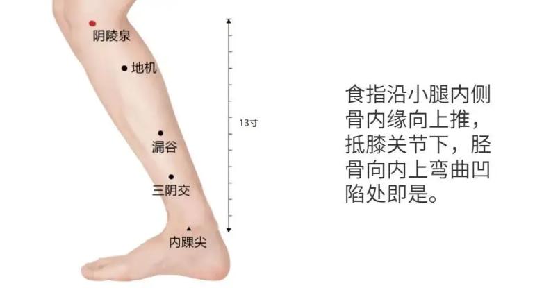 油光满面是体内湿气太重吗,油光满面是肾虚吗