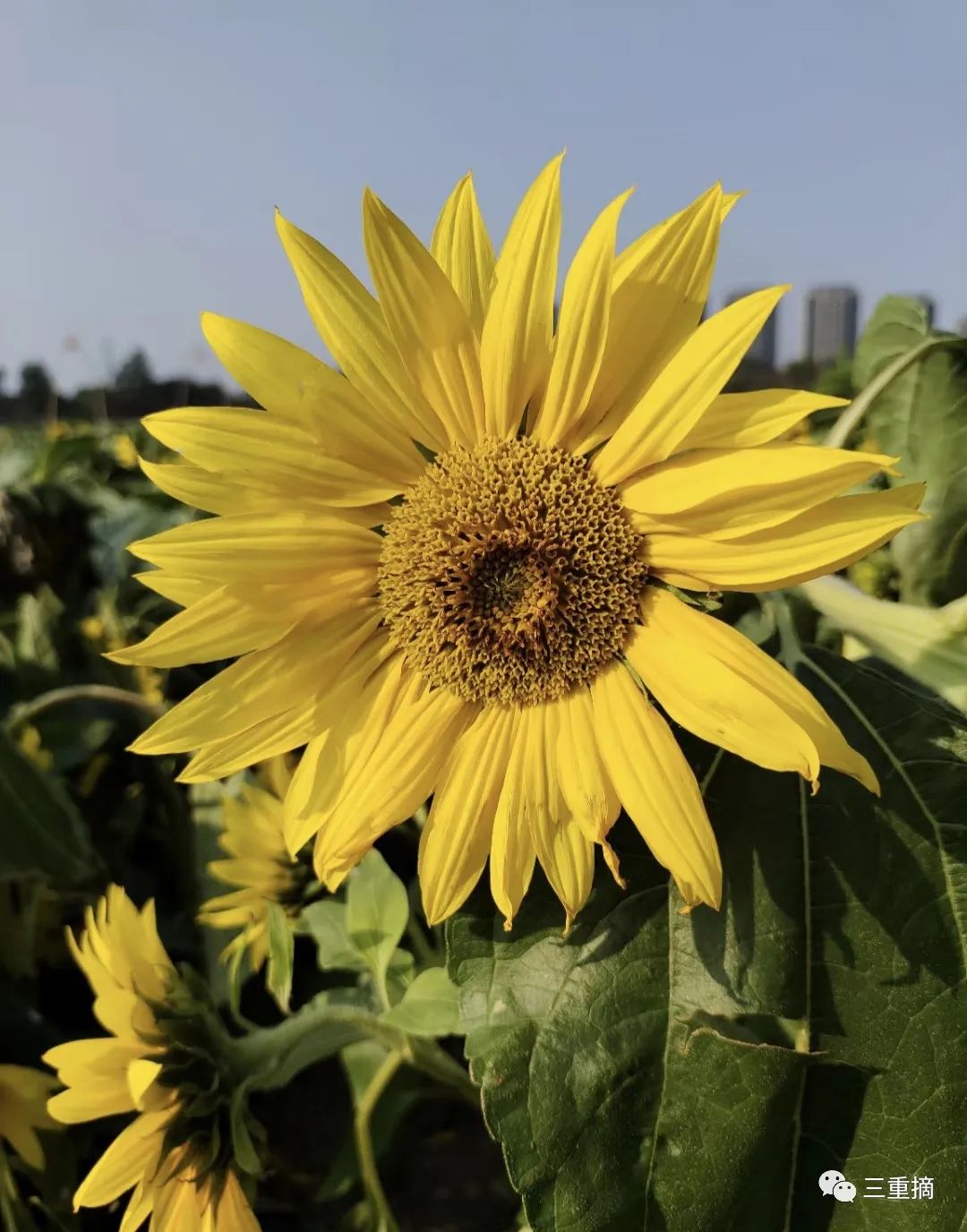 浅谈组合投资的作用,组合投资理财的看法