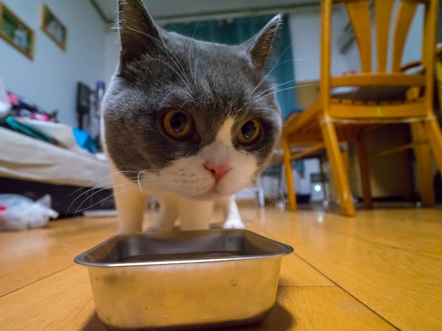 支持30倍光学变焦的便宜相机,支持0.5变焦广角拍摄视频的手机