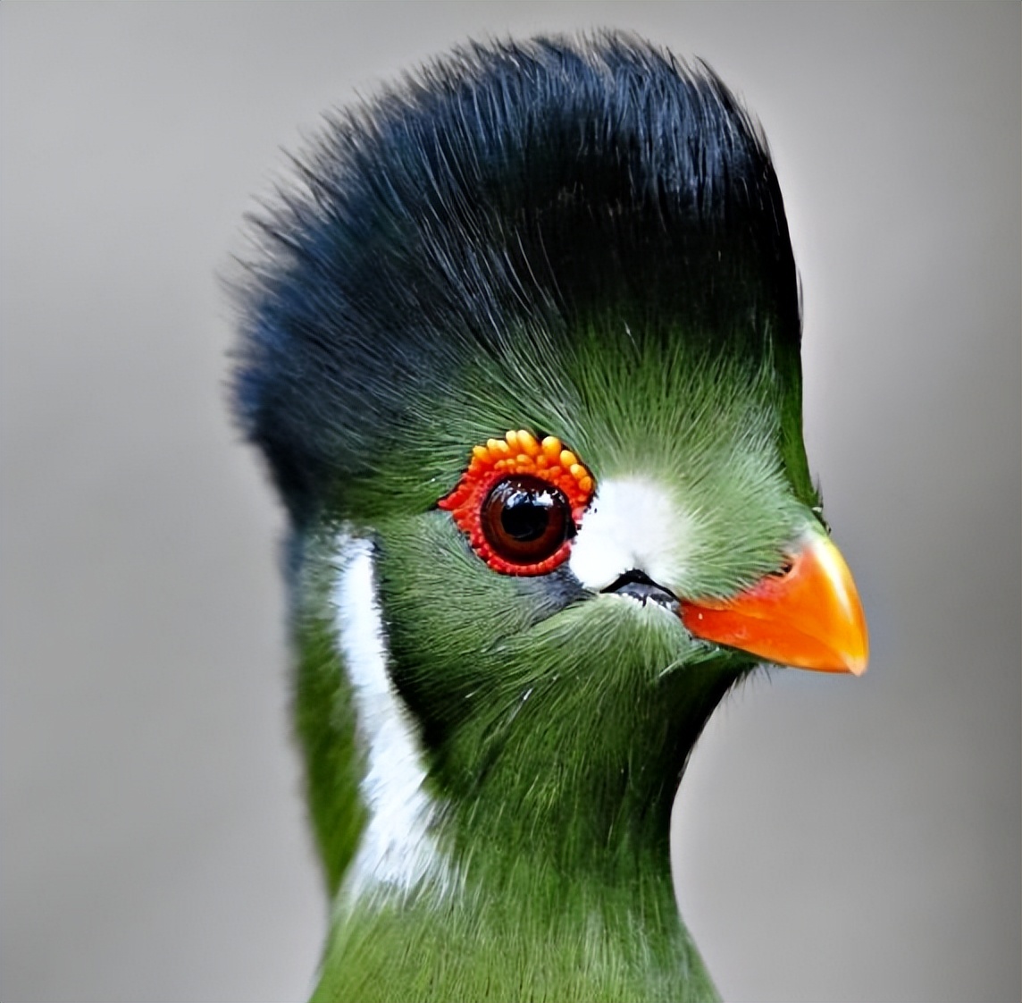 有趣的英语教学视频,有趣的英语短语集锦