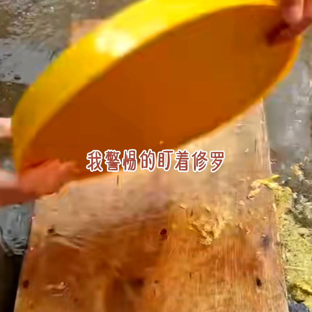 重生在杀戮之都后续,重生之杀戮之都