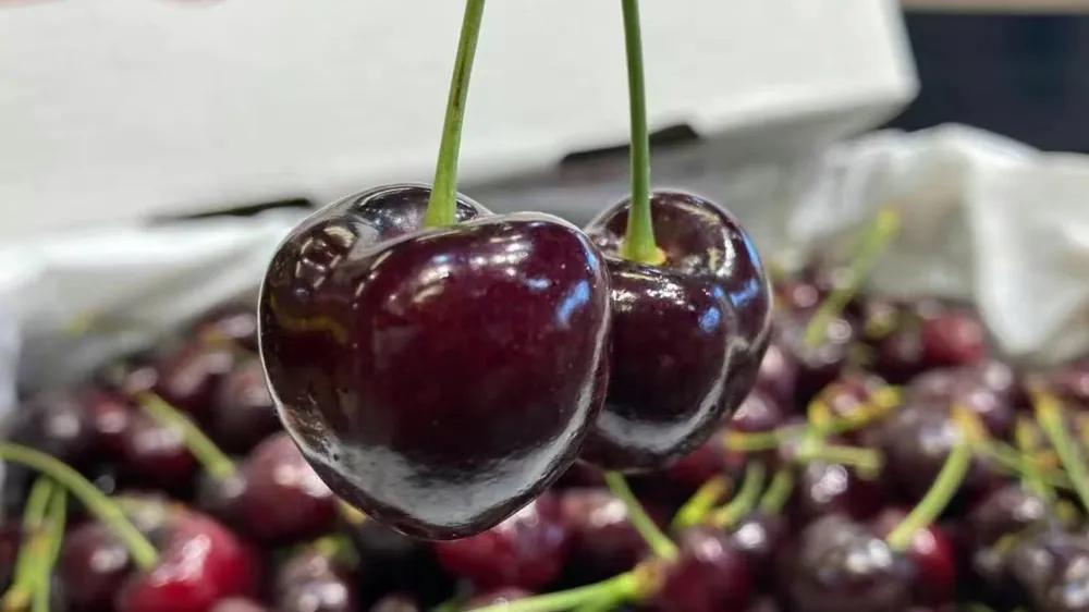 开水果店生意好一年能赚多少钱,高端水果店利润率一般是多少