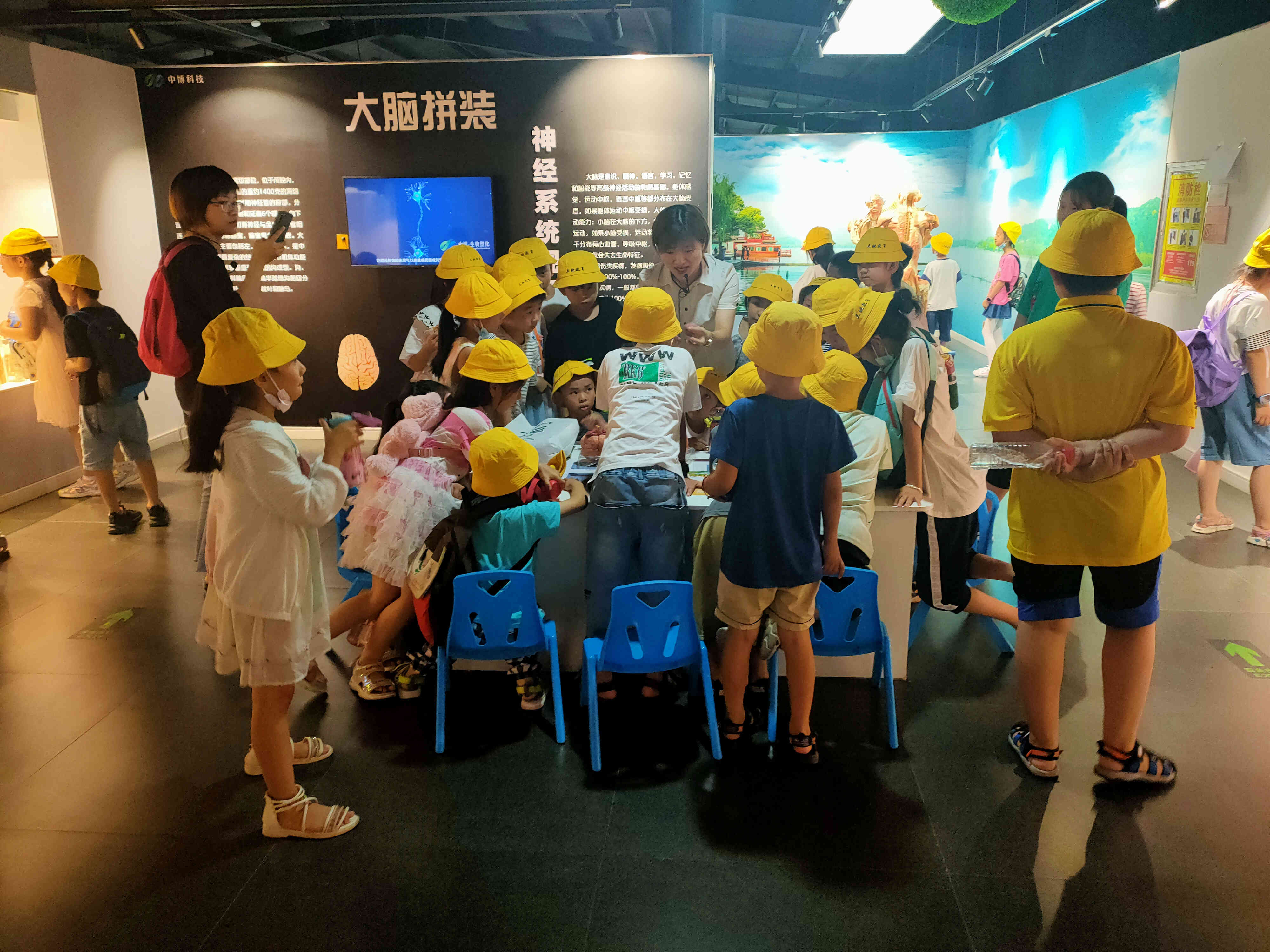 郑州植物园夏季开放时间,郑州夏季适合去哪旅游攻略