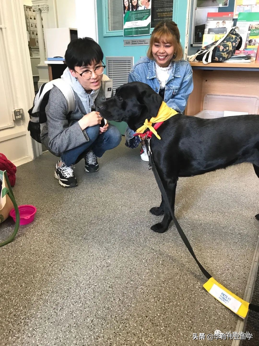 在利兹读研时打卡张国荣读的纺织学院，《指环王》作者是学校老师