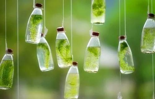 过完年不想去上班了怎么辞职,过完年不想上班的症状