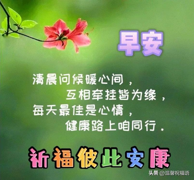 全网最温馨的早上好祝福图片带字,最新最美唯美早上好问候图片带字