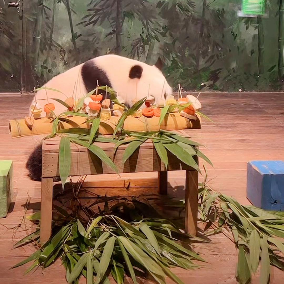 6.6夜播录屏(一)小国庆不太会撸串哦🤭视频来源直播间