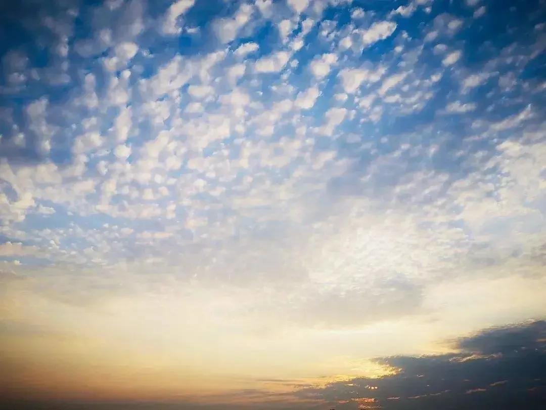 多少年没登录qq了,还记得你第一次登陆qq吗