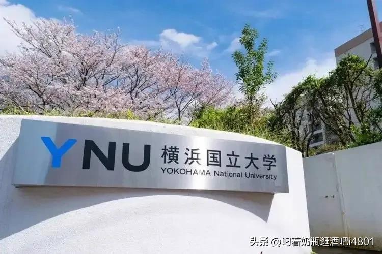 中国第四大城市深圳VS日本第三大城市横滨｜结果是你想不到的