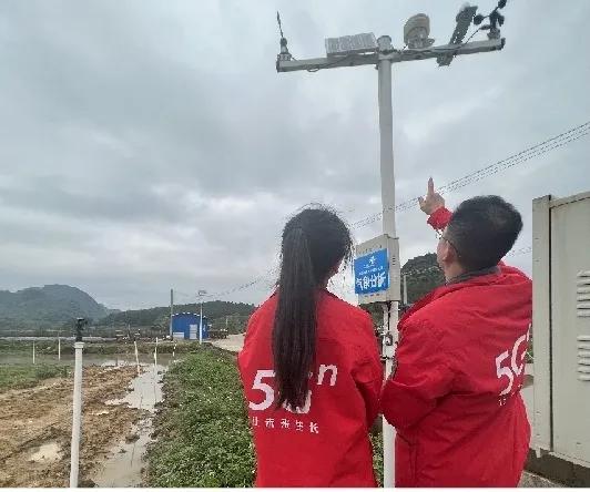 数字赋能粤港澳大湾区“菜篮子”书写蔬菜产业致富经