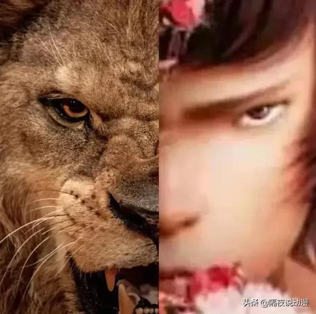 雄狮少年票房得多少才可以回本,雄狮少年票房翻车