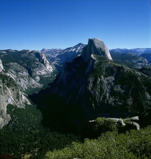师徒情作文,师徒情深感人的文章