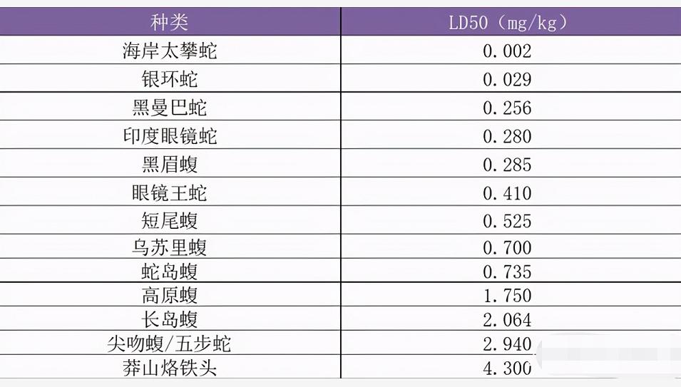 剧毒白头蝰蛇,国内发现的稀少的剧毒蛇