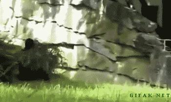 简短沙雕冷笑话,沙雕冷笑话故事