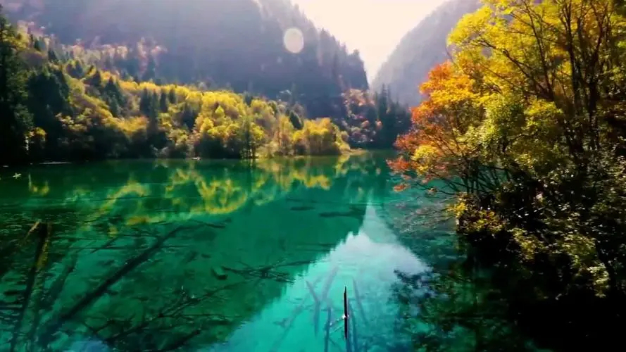 山东有个被严重低估的海鲜城市,山东唯一被低估的城市