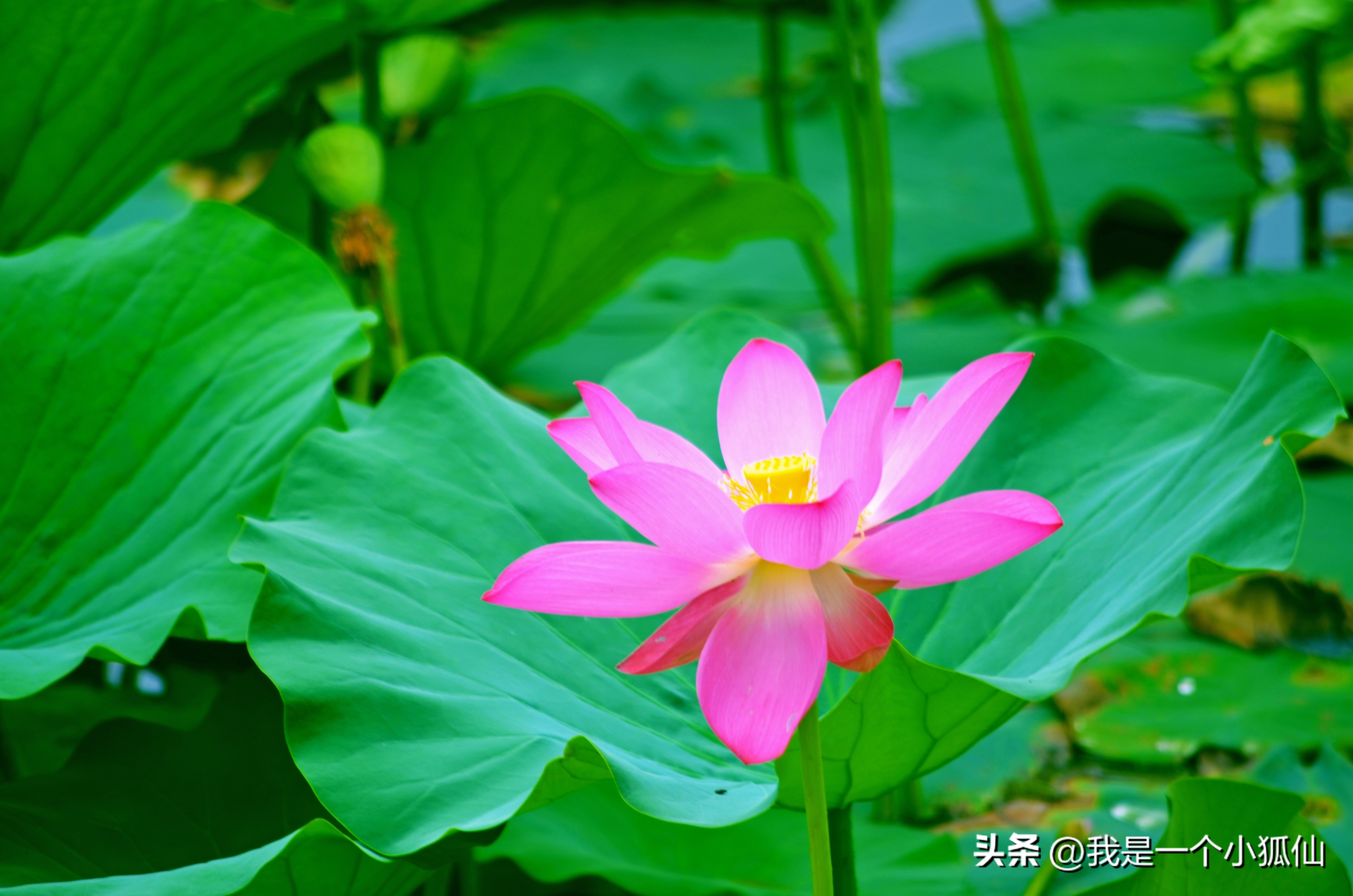 我在非洲安哥拉见到了许多中国产的摩托车，三轮摩托更受欢迎