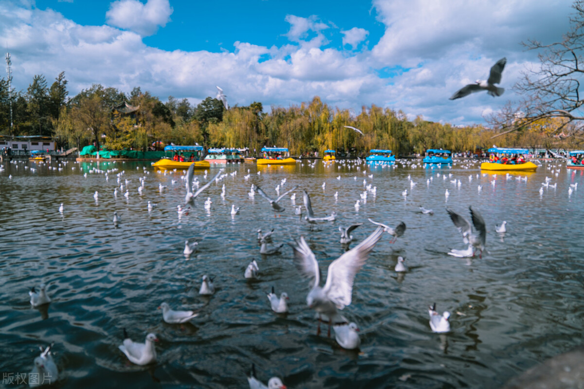 春节去云南哪里最好玩,云南春节人少旅游推荐