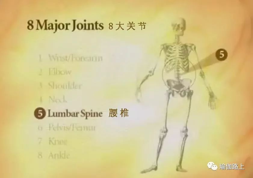 练瑜伽半年怎么走向高阶体式,练瑜伽我们不需要追求高难度体式