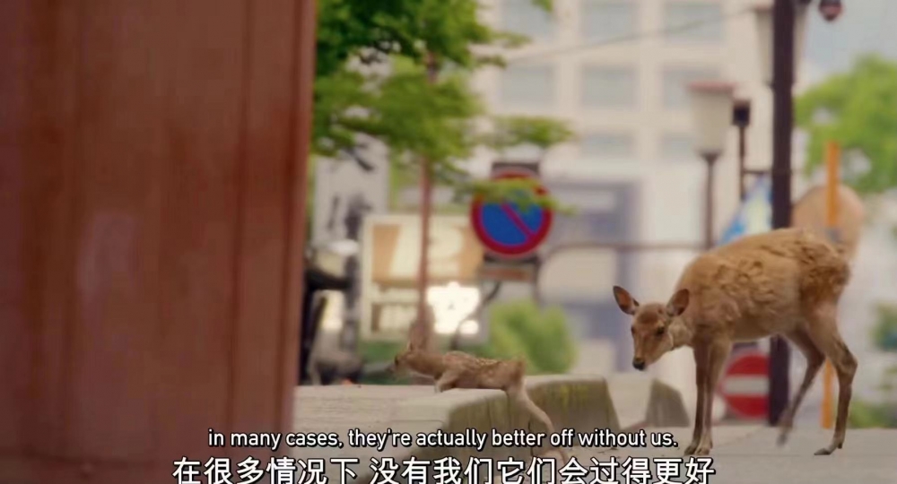 居家56天,居家70天