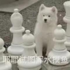 2022年度十大网络热梗,近期火遍全网的网络热梗