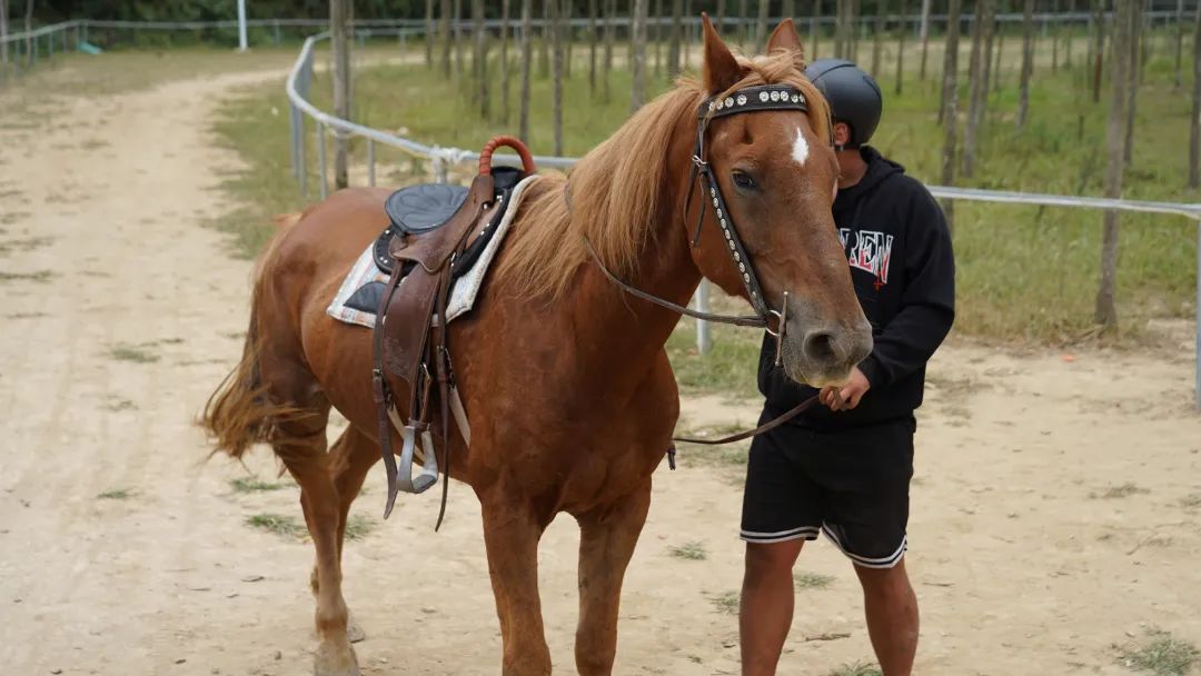 五一去哪玩浦江,浦江十一旅游好去处