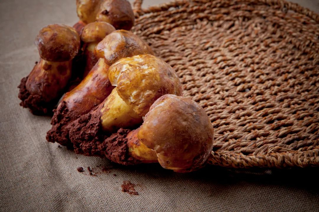 云南好吃的野生菌有哪些,云南野生菌最好吃的哪几种