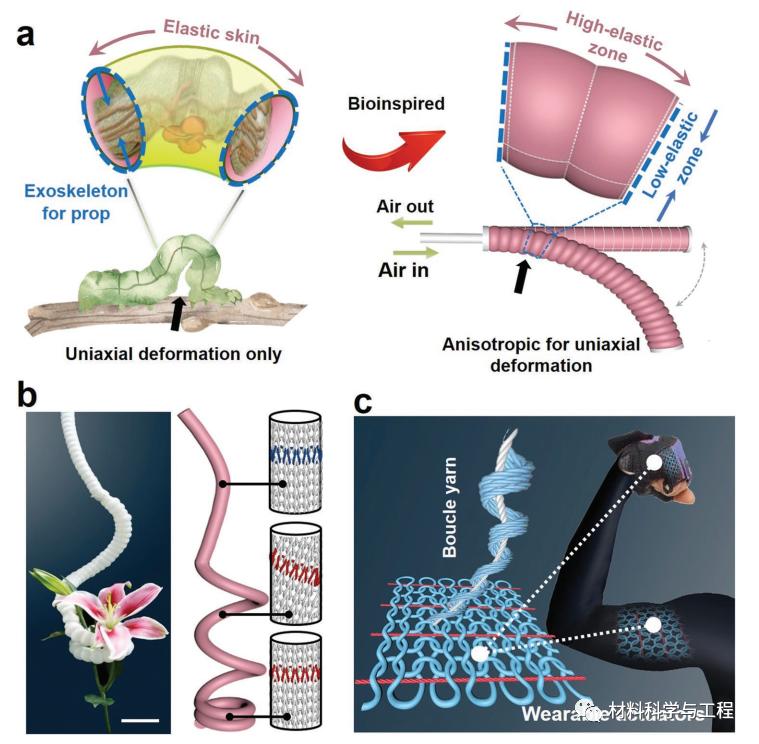用于救援的仿生蠕动软体机器人,毛毛虫爬行机器人