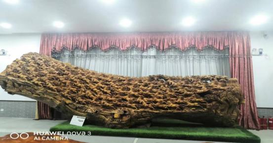 大连安波鸿缘温泉山庄,安波鸿缘温泉山庄