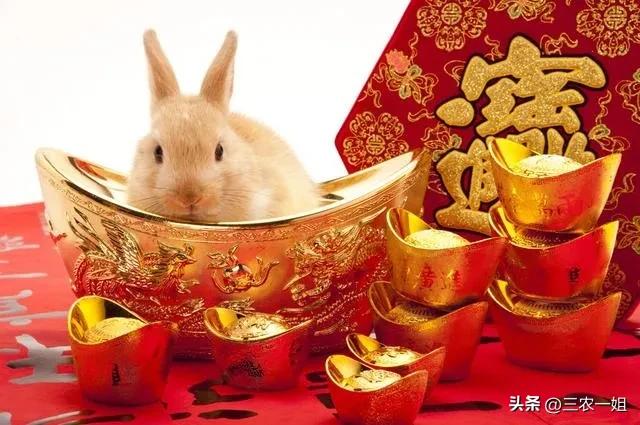 2023年是双立春如何躲春,2023年是否有立春年或无春年