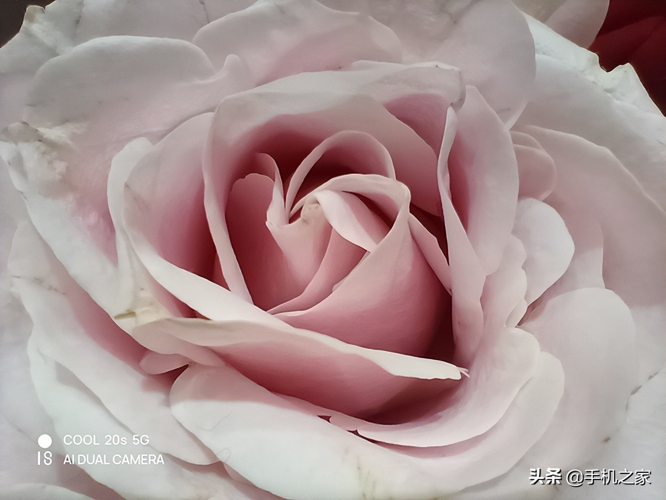 酷派cool20s5g手机音质,酷派cool20深度评测