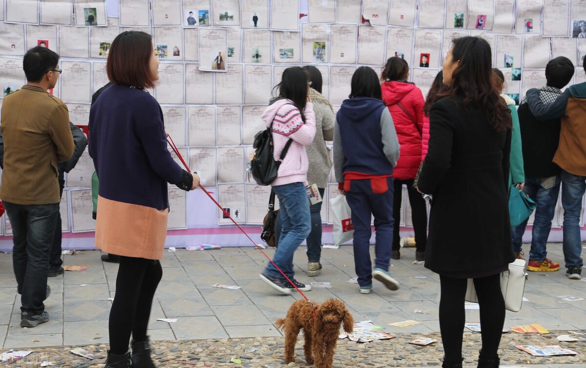 悲哀的婚姻小说,糟糕的婚姻小说