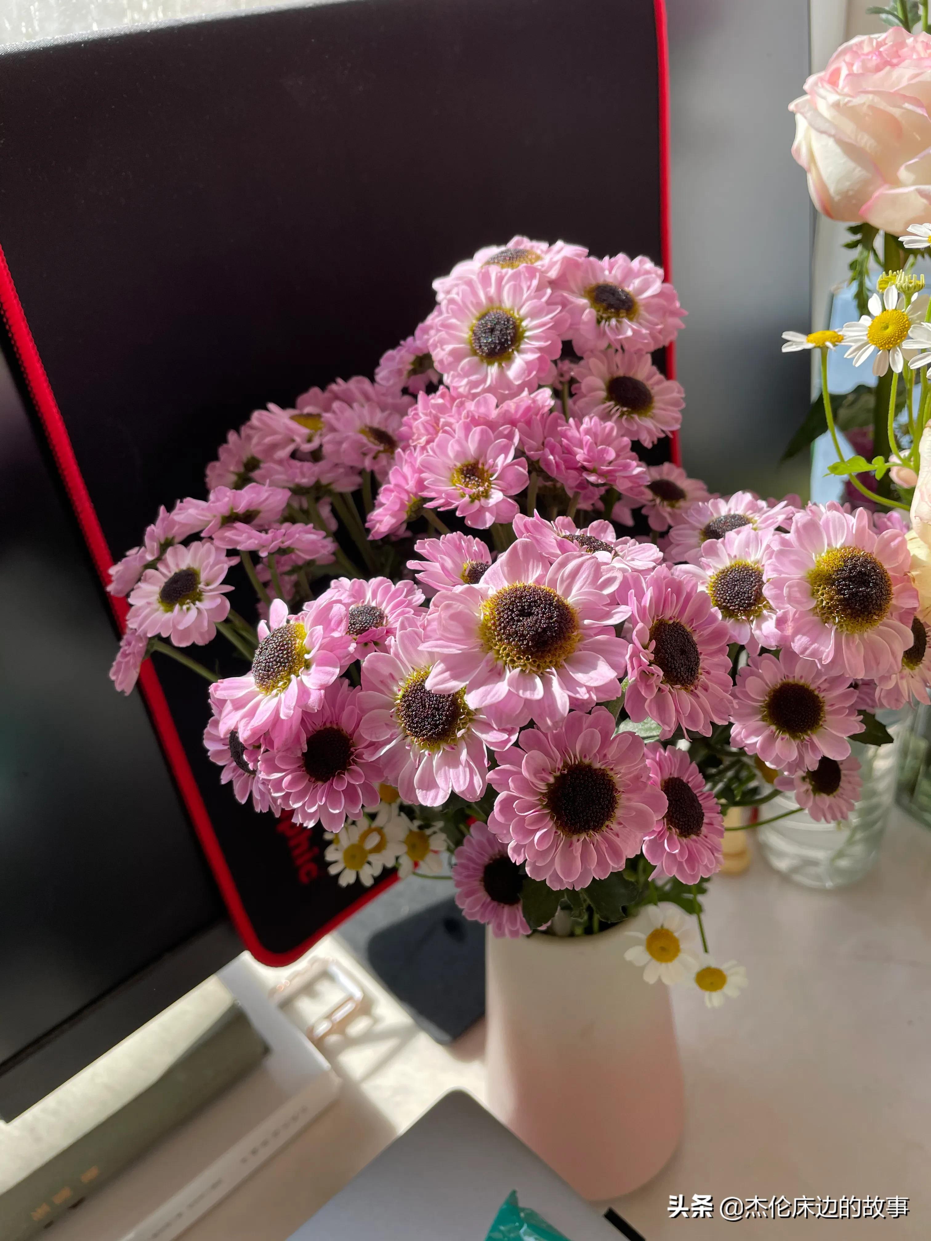 网上鲜切花怎么养护,最耐养的鲜切花