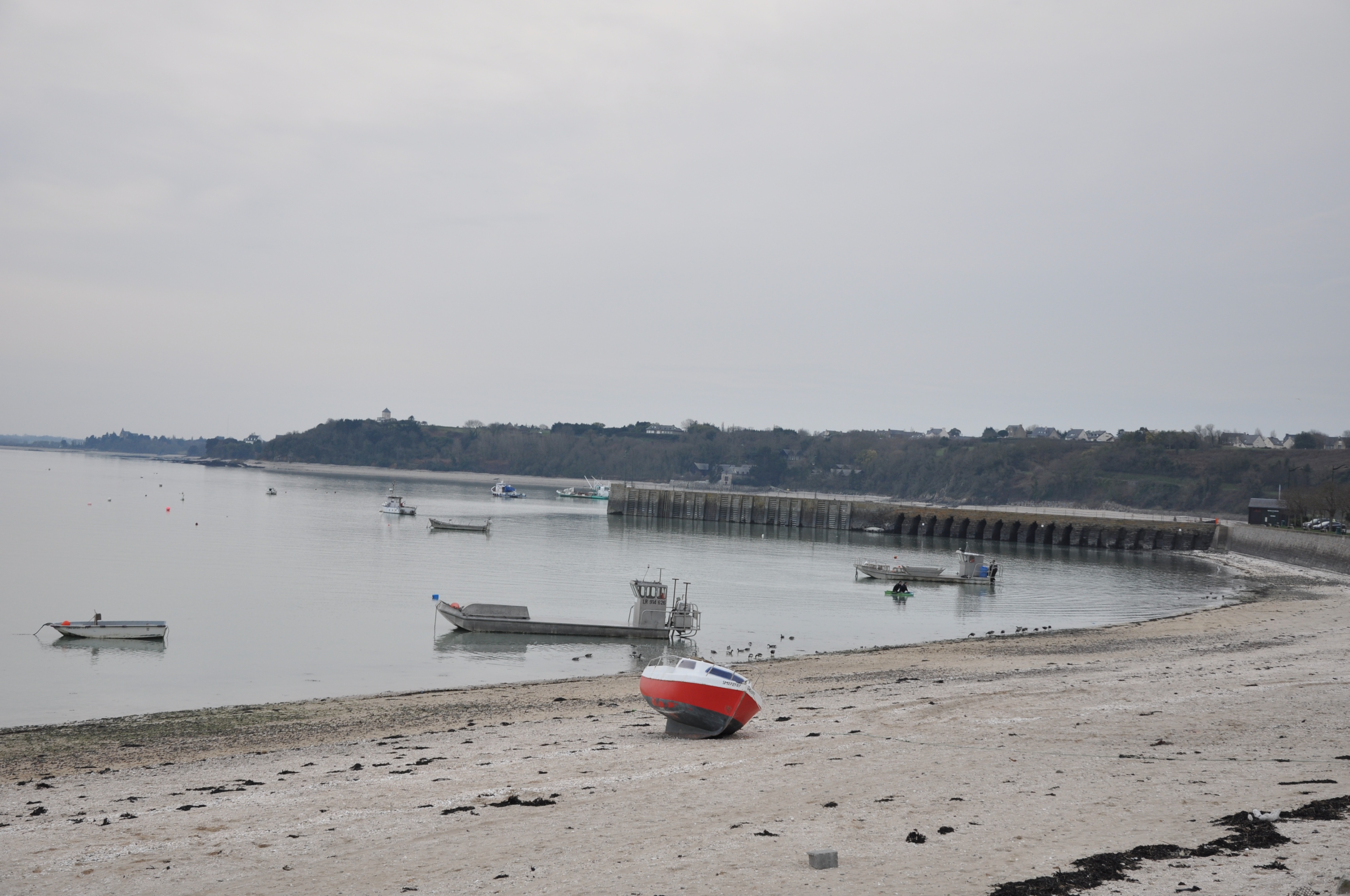 生蚝之都康卡勒：凯撒大帝太阳王拿破仑三世青睐，美味流传两千年