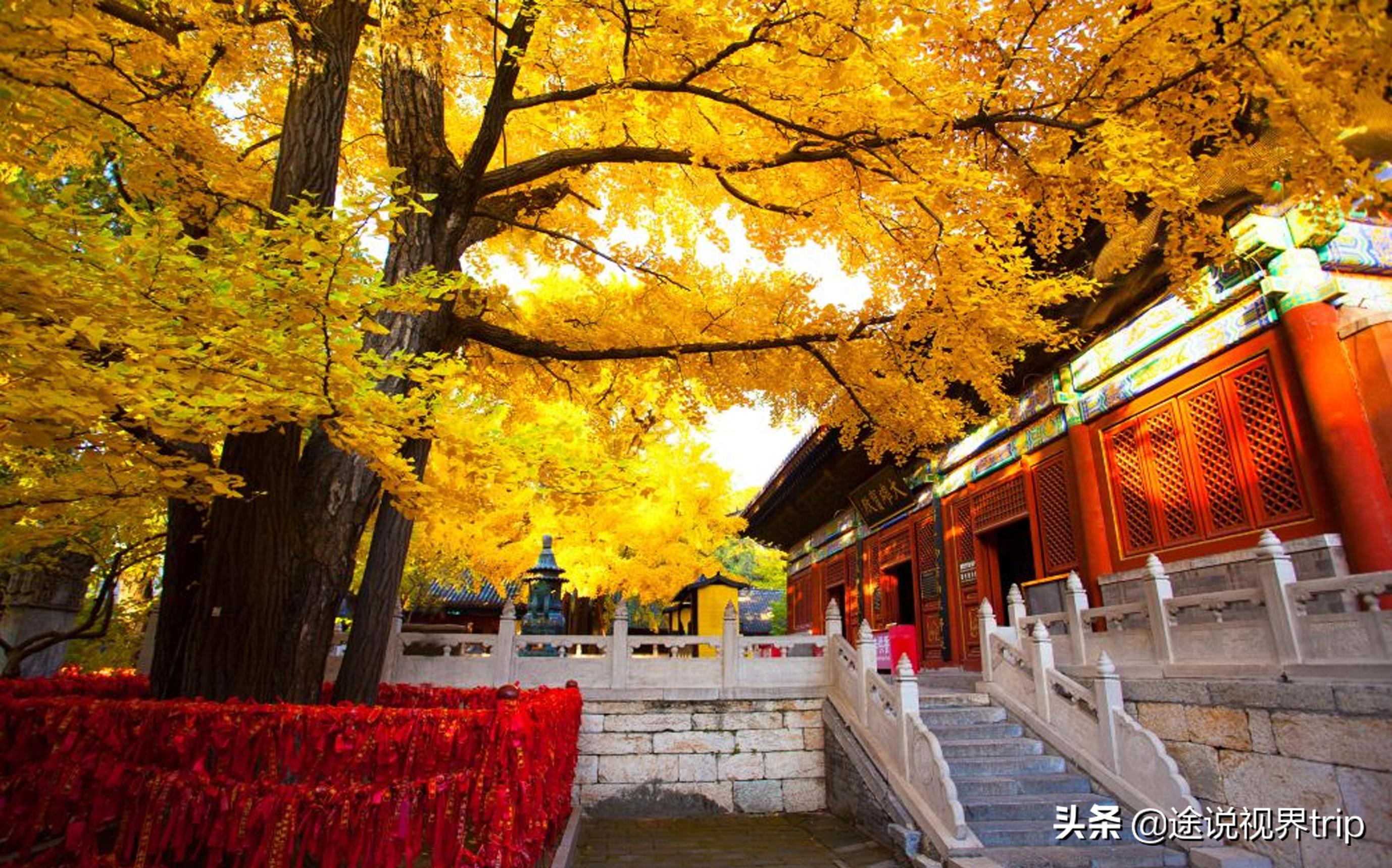 中国十大最有名的求子寺院,有伴侣适合去的祈福寺庙
