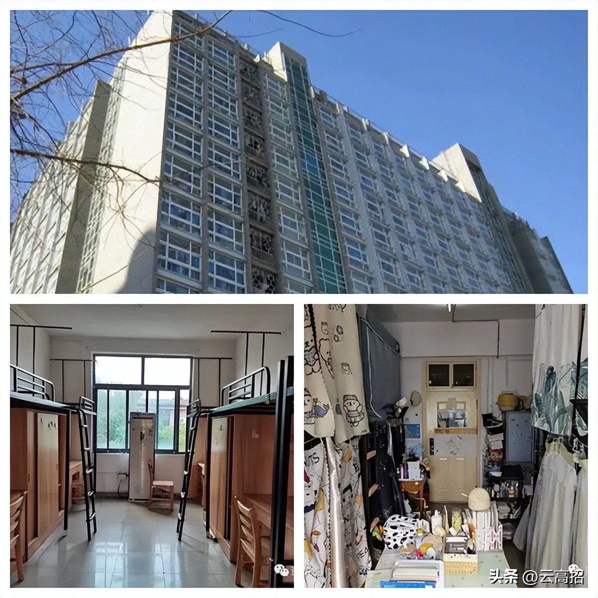 鍝簺澶у鐨勪綇瀹挎潯浠跺ソ,鍚勪釜澶у浣忓鏉′欢