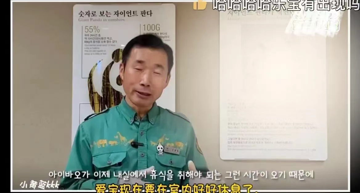 近期福宝和姜爷爷的视频,福宝回国姜爷爷和宋爷爷上热搜